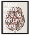 VERBIS_5_40x50.png