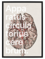 VERBIS_5_50x70.png