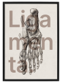 VERBIS_4_50x70.png