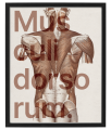 VERBIS_2_40x50.png