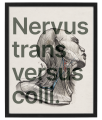 VERBIS_1_40x50.png