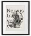 VERBIS_1_40x50_PP.png