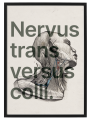 VERBIS_1_50x70.png