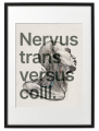 VERBIS_1_50x70_PP.png