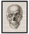 SCRIPTUM_1_40x50.png