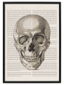 SCRIPTUM_1_50x70.png