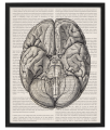 SCRIPTUM_5_40x50.png
