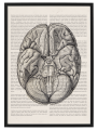 SCRIPTUM_5_50x70.png