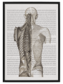 SCRIPTUM_3_50x70.png