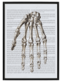 SCRIPTUM_2_50x70.png