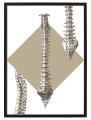 FIGURA_5_50x70.png