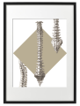 FIGURA_5_50x70_PP.png