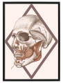 FIGURA_4_50x70.png