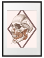 FIGURA_4_50x70_PP.png