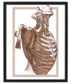 FIGURA_3_40x50.png