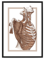 FIGURA_3_50x70.png