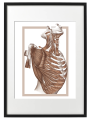 FIGURA_3_50x70_PP.png
