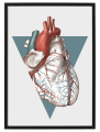FIGURA_2_50x70.png