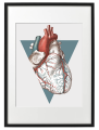 FIGURA_2_50x70_PP.png