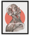 FIGURA_1_40x50.png