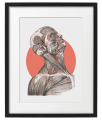 FIGURA_1_40x50_PP.png