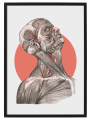 FIGURA_1_50x70.png