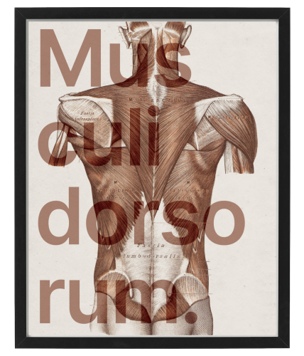 VERBIS_2_40x50.png