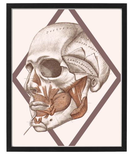 FIGURA_4_40x50.png