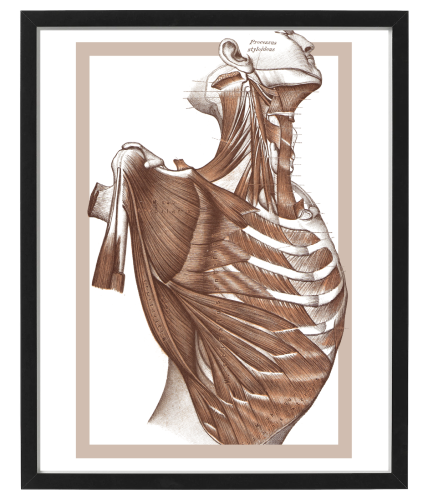FIGURA_3_40x50.png