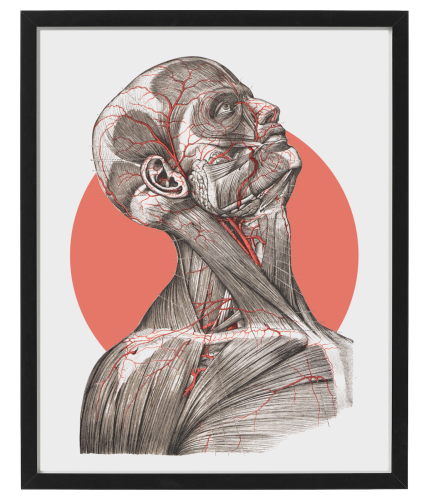 FIGURA_1_40x50.png